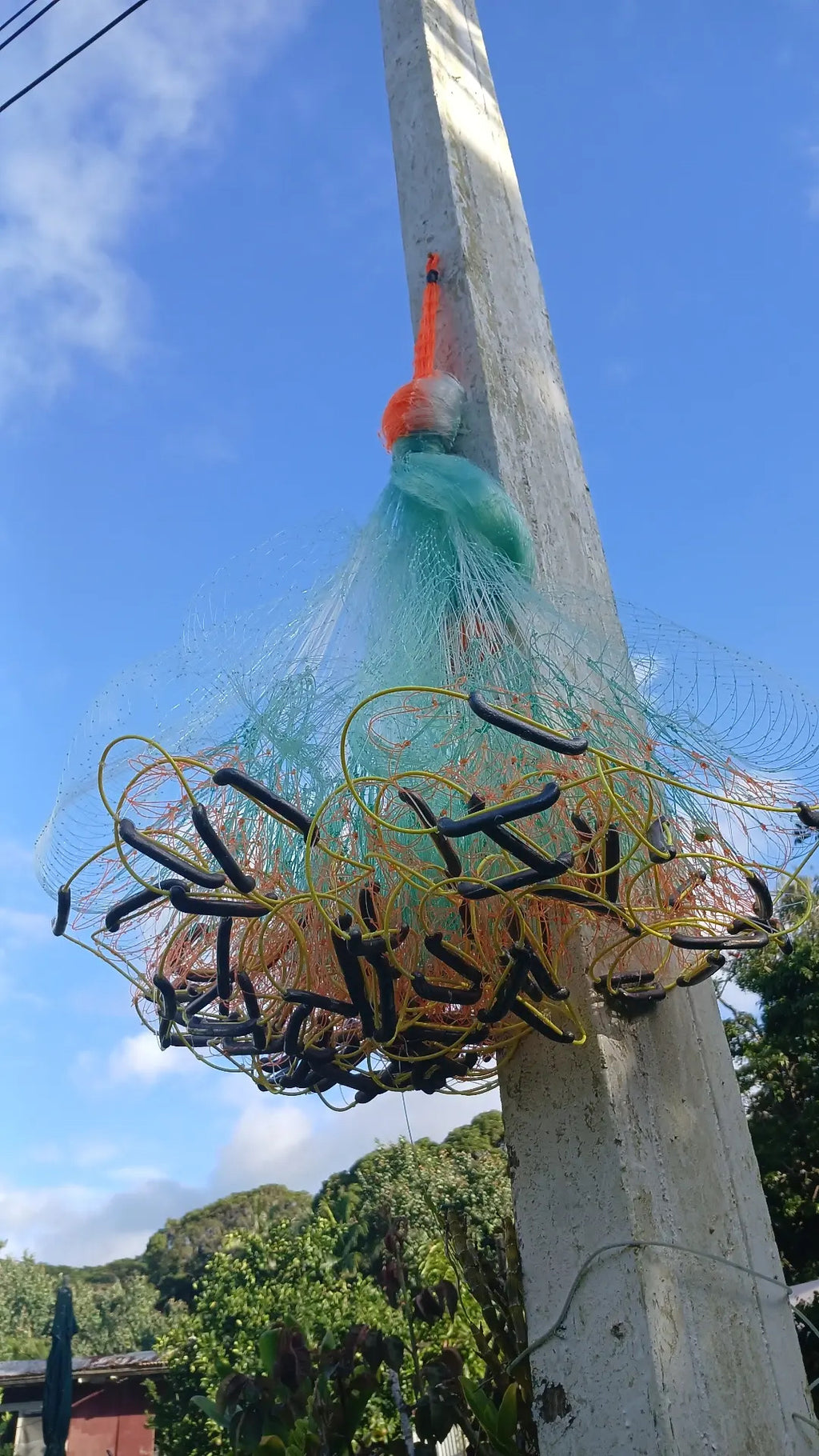 Upena Kapili (Wallet-Friendly)