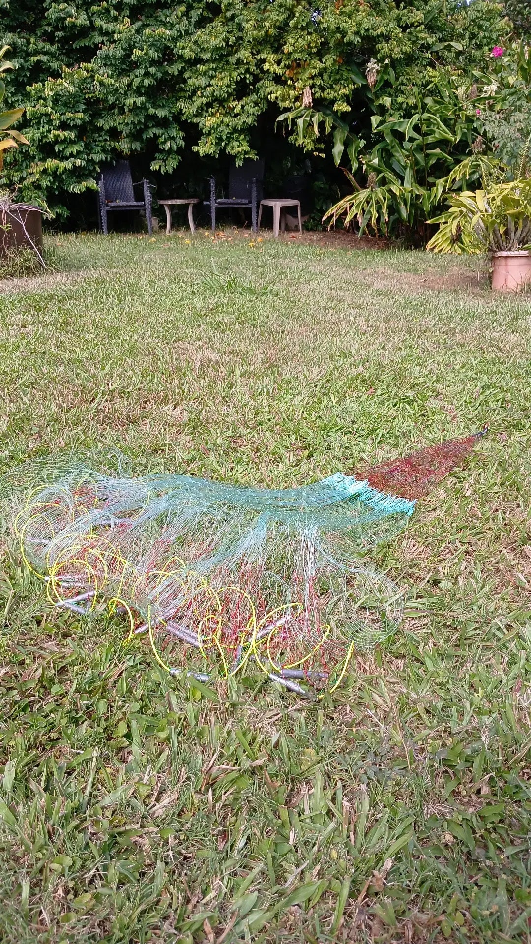 Upena Makali’i (Keiki Edition)